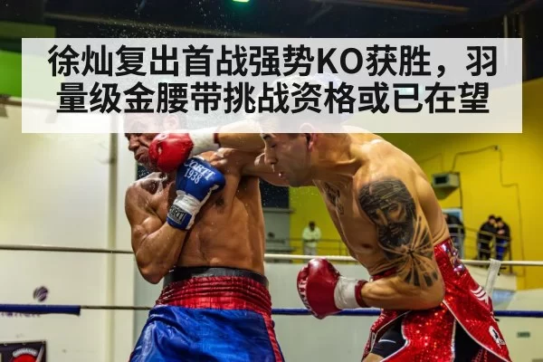 boxing punch knockout